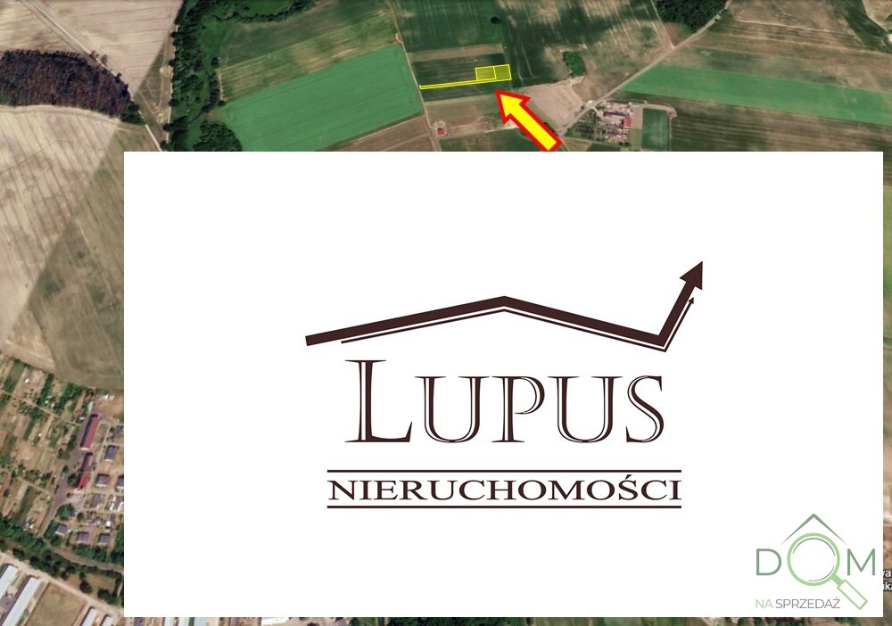 lupus_nieruchomosci_zs_2197_3.jpg