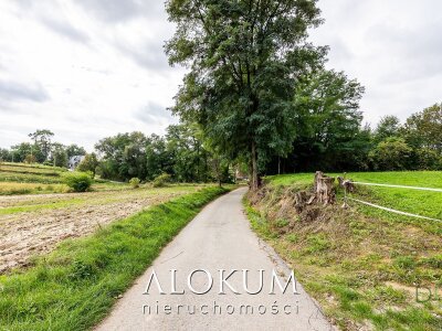 alokum_nieruchomosci_zs_3387_6.jpg