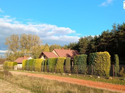 waliszczak_nieruchomosci_ds_DS-14768_9.jpg