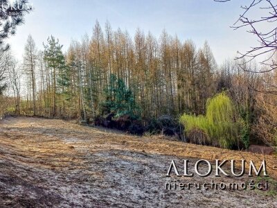 alokum_nieruchomosci_zs_3036_5.jpg