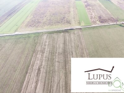 lupus_nieruchomosci_zs_2203_8.jpg