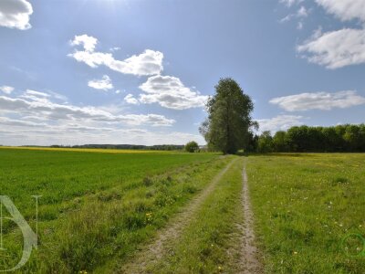 dolinscy_nieruchomosci_ds_PDN-DS-55-1_26.jpg