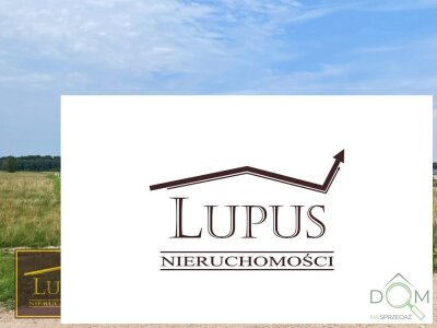 lupus_nieruchomosci_zs_2190_8.jpg