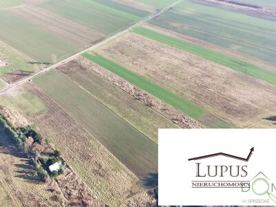 lupus_nieruchomosci_zs_2201_9.jpg