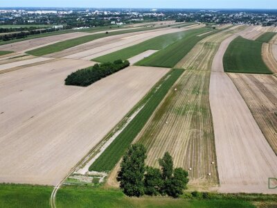 waliszczak_nieruchomosci_zs_GS-14815_4.jpg