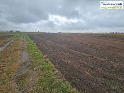 waliszczak_nieruchomosci_zs_GS-14815_1.jpg