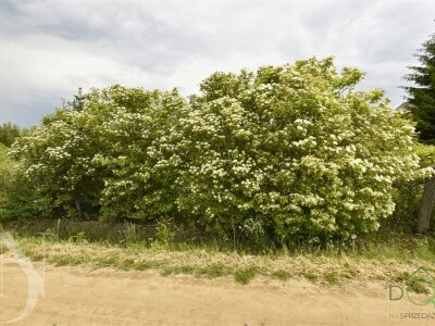 dolinscy_nieruchomosci_zs_PDN-GS-107_4.jpg