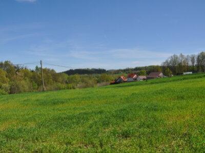 DSC_0931.JPG