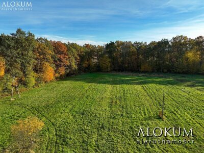 alokum_nieruchomosci_ds_3167_2.jpg