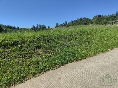 Zdjęcie WhatsApp 2025-07-01 o 15.50.55_33f7be32.jpg