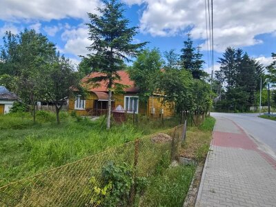 jolanta_serwin_ds_JSN-DS-3096_8.jpg