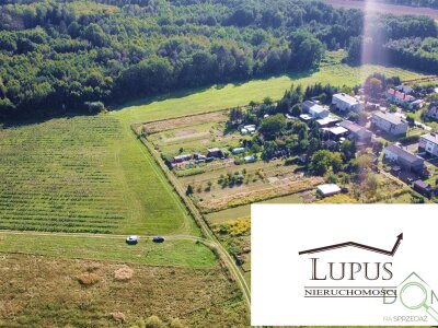 lupus_nieruchomosci_zs_2194_6.jpg