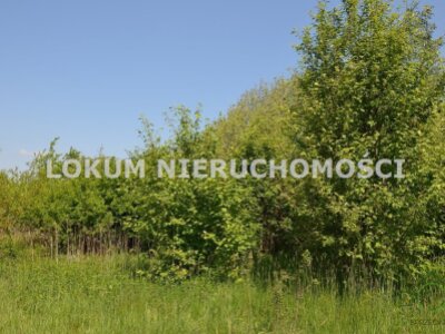 lokum_nieruchomosci_dt_zs_LOK-GS-1867_4.jpg