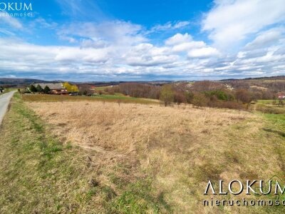 alokum_nieruchomosci_zs_2454_2.jpg