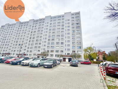lideron_ms_583909_11.jpg