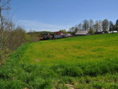 DSC_0924.JPG