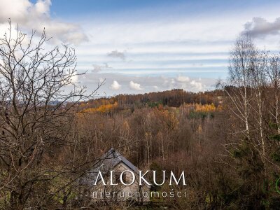 alokum_nieruchomosci_ms_3154_2.jpg
