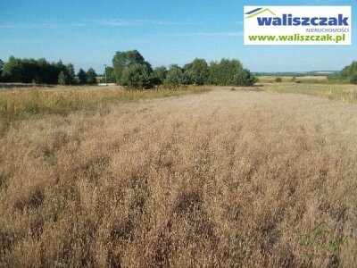 waliszczak_nieruchomosci_zs_GS-14477_1.jpg