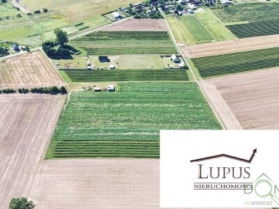 lupus_nieruchomosci_zs_2197_8.jpg