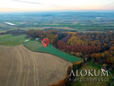 alokum_nieruchomosci_zs_2219_5.jpg