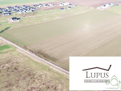 lupus_nieruchomosci_zs_2203_3.jpg
