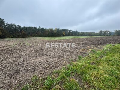 bestate_nieruchomosci_zs_BESP-GS-15117_6.jpg