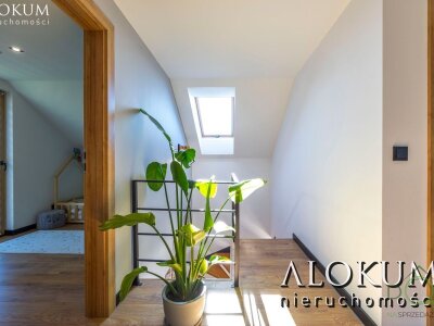 alokum_nieruchomosci_ds_3124_21.jpg