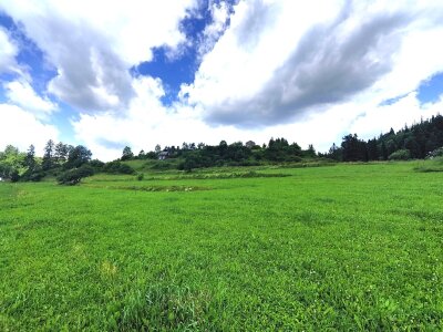 Zdjęcie WhatsApp 2025-06-25 o 15.32.08_4ccebd6a.jpg