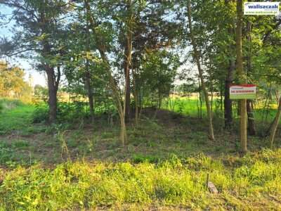 waliszczak_nieruchomosci_zs_GS-14498_1.jpg