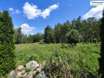 waliszczak_nieruchomosci_ds_DS-14842_29.jpg