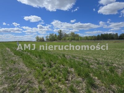 amj_nieruchomosci_zs_AMJ-GS-244_8.jpg
