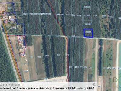 2024-12-19 13_54_22-Window.jpg