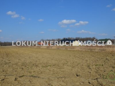 lokum_nieruchomosci_dt_zs_LOK-GS-1824_7.jpg