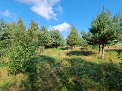 waliszczak_nieruchomosci_zs_GS-14640-4_4.jpg
