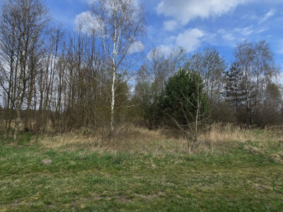 house_agent_ds_HA844316_13.jpg