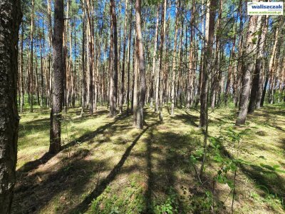 waliszczak_nieruchomosci_zs_GS-14515_1.jpg