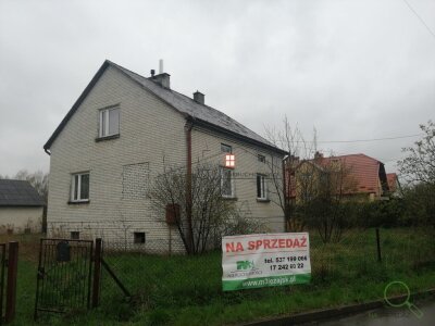 91967600.jpg