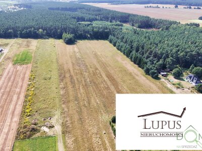lupus_nieruchomosci_zs_2191_4.jpg