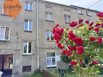 lideron_ms_132054_13.jpg