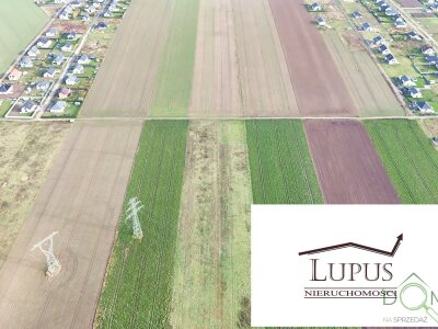 lupus_nieruchomosci_zs_2202_6.jpg