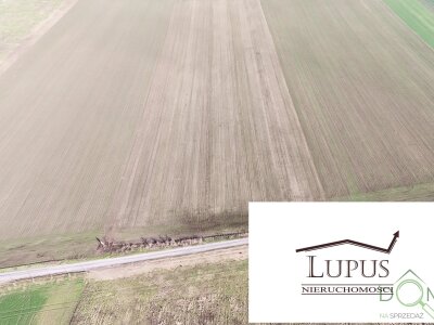 lupus_nieruchomosci_zs_2203_4.jpg