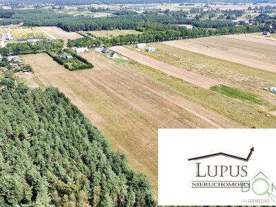 lupus_nieruchomosci_zs_2191_5.jpg