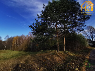 marcin_rzepka_nieruchomosci_zs_399_12.jpg