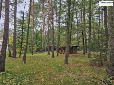 waliszczak_nieruchomosci_zs_GS-14777_2.jpg