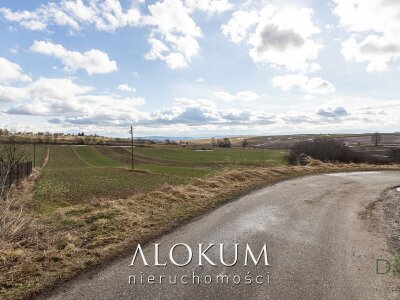 alokum_nieruchomosci_zs_3366_13.jpg