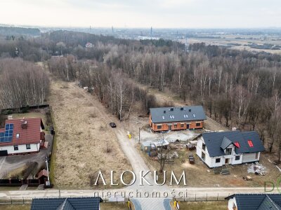 alokum_nieruchomosci_zs_3444_6.jpg