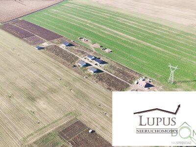 lupus_nieruchomosci_zs_2225_6.jpg
