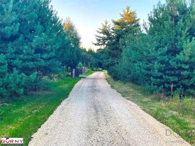 gorny_nieruchomosci_zs_NIG-GS-4315_5.jpg