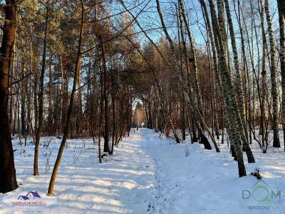 jolanta_serwin_zs_JSN-GS-3051-2_8.jpg