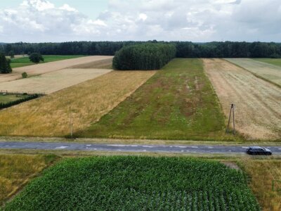 waliszczak_nieruchomosci_zs_GS-14964_2.jpg